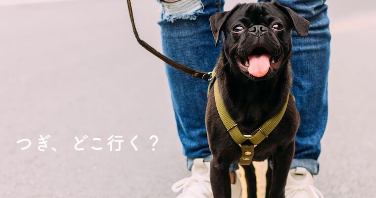 【つぎ、どこ行く？】編集部が選ぶ「グランピング」「キャンプ」最新スポット